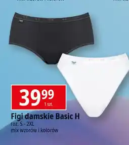 E.Leclerc Figi damskie Sloggi oferta