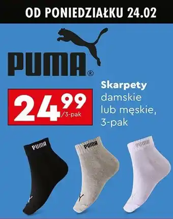 Biedronka Skarpety męskie Puma oferta