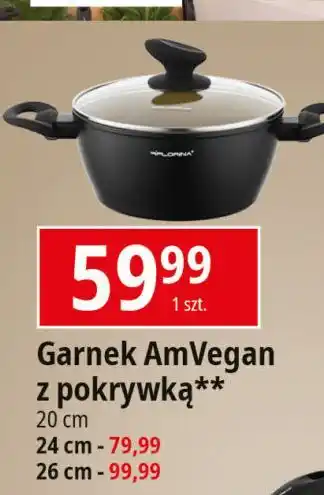 E.Leclerc Garnek amvegan 26 cm Florina (Florentyna) oferta