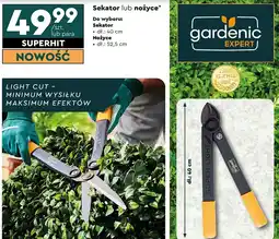 Biedronka Nożyce 52.5 cm Gardenic oferta