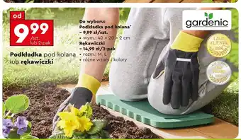 Biedronka Rękawiczki rozm. l Gardenic oferta