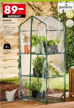 Biedronka Szklarnia 3-poziomowa 126 x 59 39 cm Gardenic oferta