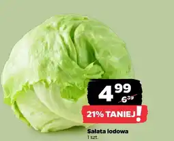 Netto Sałata lodowa oferta