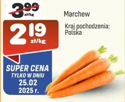 Społem Marchew oferta