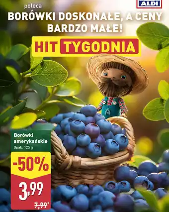 ALDI Borówki amerykańskie oferta