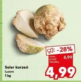 Kaufland Seler korzeń oferta