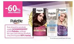 Hebe Schwarzkopf palette oferta