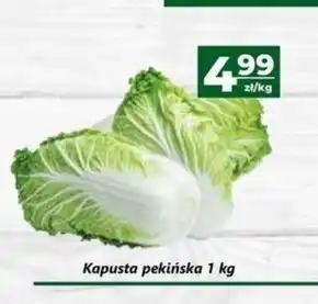 Społem Kapusta pekińska oferta