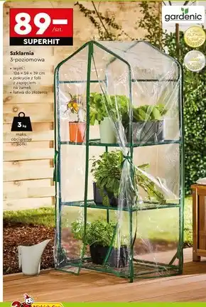 Biedronka Szklarnia Gardenic oferta