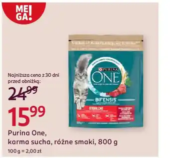 Rossmann Purina One, karma sucha oferta