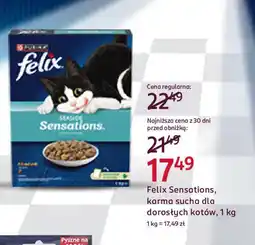 Rossmann Felix Sensations, karma sucha dla dorosłych kotów oferta