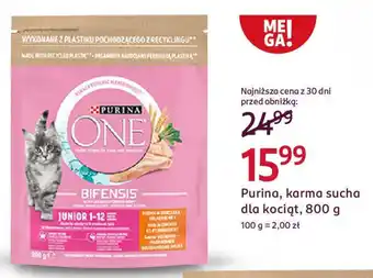 Rossmann Purina, karma sucha dla kociąt oferta