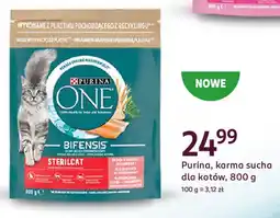 Rossmann Purina, karma sucha dla kotów oferta