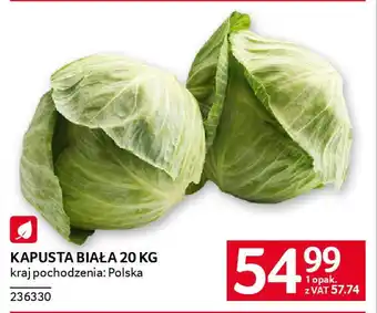 Selgros Kapusta biała oferta