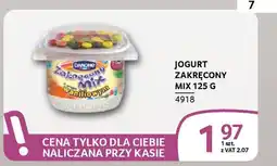 Selgros Jogurt zakręcony mix oferta