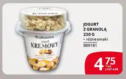 Selgros Jogurt z granolą oferta