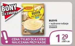 Selgros Budyń oferta