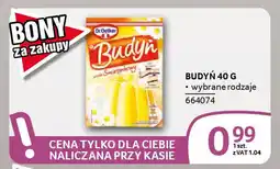 Selgros Budyń oferta