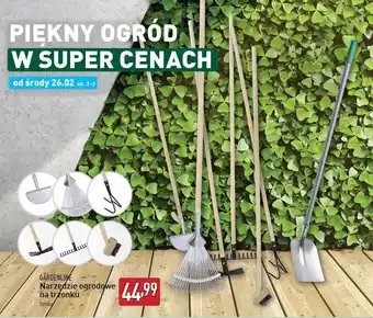 ALDI Szczotka do usuwania chwastów Gardenline oferta