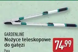 ALDI Nożyce teleskopowe do gałęzi Gardenline oferta