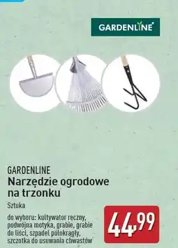 ALDI Szczotka do usuwania chwastów Gardenline oferta