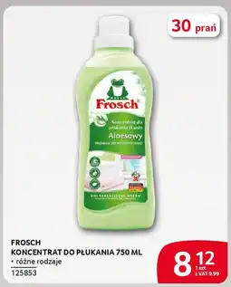 Selgros Frosch koncentrat do płukania oferta