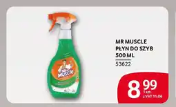 Selgros Mr muscle płyn do szyb oferta