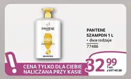 Selgros Pantene szampon oferta