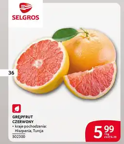 Selgros Grejpfrut czerwony oferta