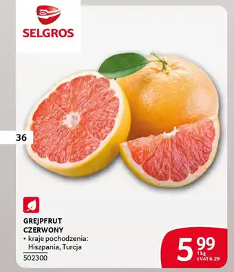 Selgros Grejpfrut czerwony oferta