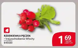 Selgros Rzodkiewka pęczek oferta