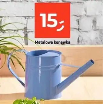 Dealz Metalowa konewka oferta