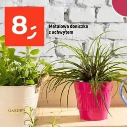 Dealz Metalowa doniczka z uchwytem oferta