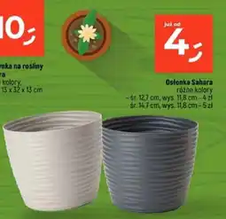 Dealz Osłonka Sahara oferta