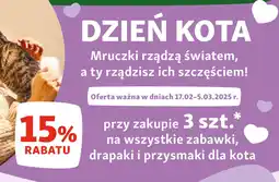 Maxi Zoo Zabawki, drapaki i przysmaki dla kota oferta