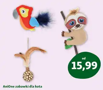 Maxi Zoo Anione zabawki dla kota oferta