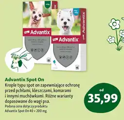 Maxi Zoo Advantix Spot On krople przeciw kleszczom oferta