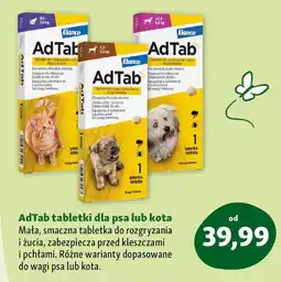 Maxi Zoo AdTab tabletki dla psa lub kota przeciw kleszczom i pchłom oferta