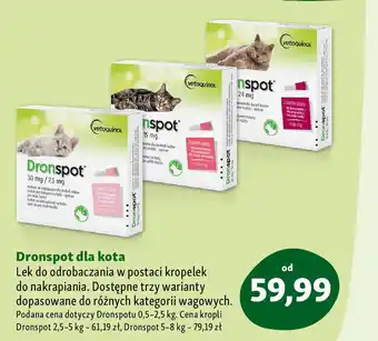 Maxi Zoo Dronspot dla kota Lek do odrobaczania oferta