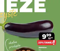 Netto Bakłażan oferta