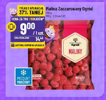 Polomarket Malina Zaczarowany Ogród oferta