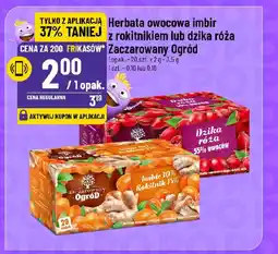 Polomarket Herbata owocowa imbir z rokitnikiem lub dzika róża Zaczarowany Ogród oferta