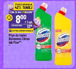 Polomarket Płyn do toalet Domestos Citrus lub Pine oferta