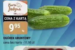 bi1 Ogórek gruntowy oferta