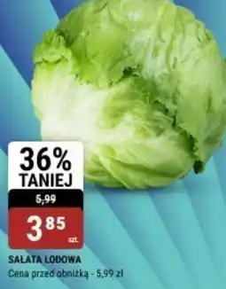 bi1 Sałata lodowa oferta