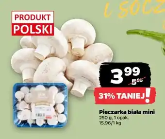 Netto Pieczarki mini polska oferta