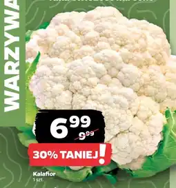 Netto Kalafior oferta