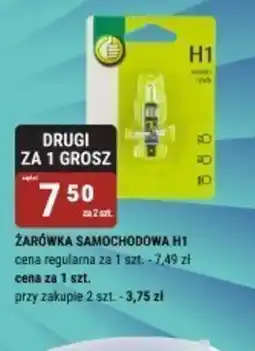 bi1 Zarówka samochodowa H1 oferta