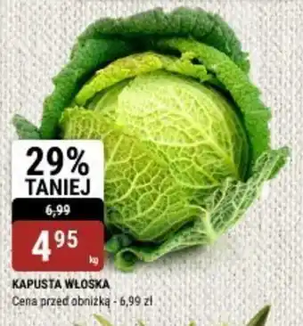 bi1 Kapusta włoska oferta