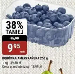 bi1 Borówka amerykańska oferta